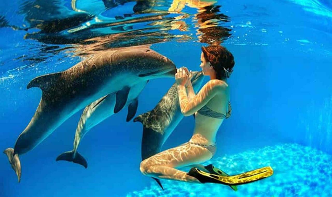 Sugar Reef West Coast Apartment Flic en Flac Luaran gambar